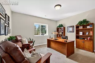 13274 Dominus Way, Colorado Springs, CO 80921 - Photo 43