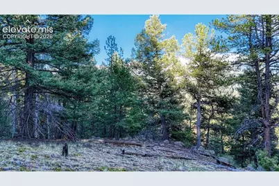 364 Blue Spruce Road, Divide, CO 80814 - Photo 15