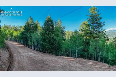 364 Blue Spruce Road, Divide, CO 80814 - Photo 3