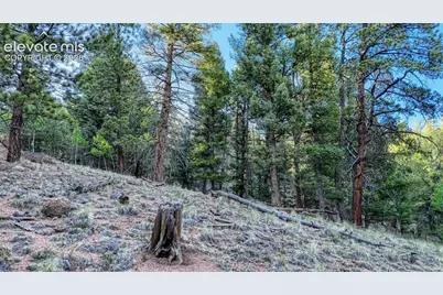 364 Blue Spruce Road, Divide, CO 80814 - Photo 13