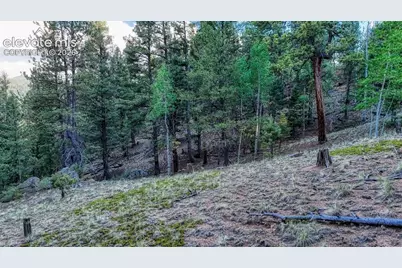 364 Blue Spruce Road, Divide, CO 80814 - Photo 7