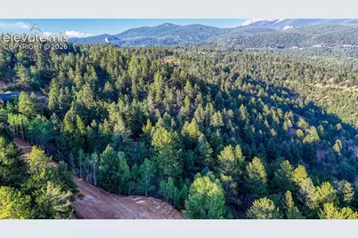 364 Blue Spruce Road, Divide, CO 80814 - Photo 1