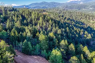 364 Blue Spruce Rd, Divide, CO 80814 - Photo 1