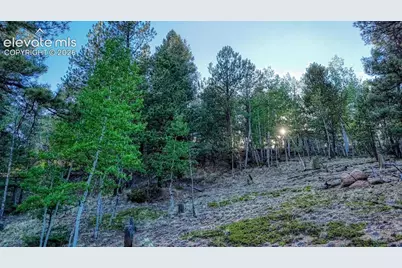 364 Blue Spruce Road, Divide, CO 80814 - Photo 11