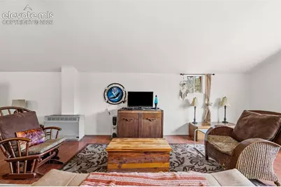 553 Arrowhead Road, Florissant, CO 80816 - Photo 5