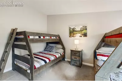 192 Silbani Trail, Florissant, CO 80816 - Photo 25