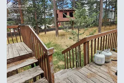 1005 W Lorraine Avenue, Woodland Park, CO 80863 - Photo 15