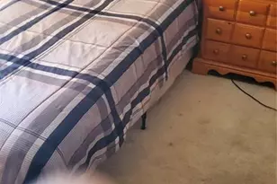 400 Victor Ave, Victor, CO 80860 - Photo 19