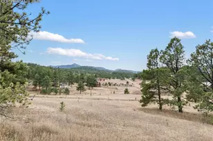 795 S Mountain Estates Rd, Florissant, CO 80816 - Photo 37