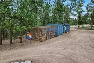 1721 Wildhorn Rd, Florissant, CO 80816 - Photo 45