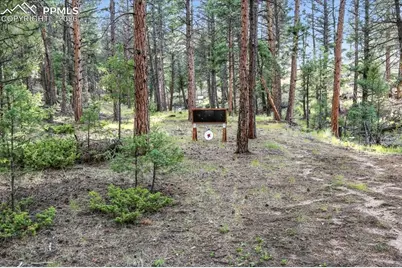 1721 Wildhorn Road, Florissant, CO 80816 - Photo 41