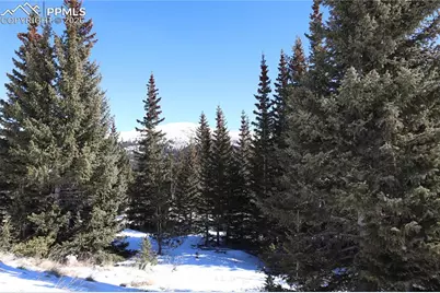 1480 Roberts Road, Fairplay, CO 80440 - Photo 9