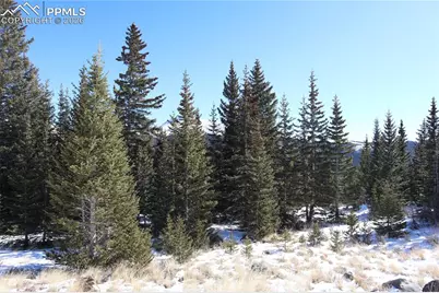 1480 Roberts Road, Fairplay, CO 80440 - Photo 11