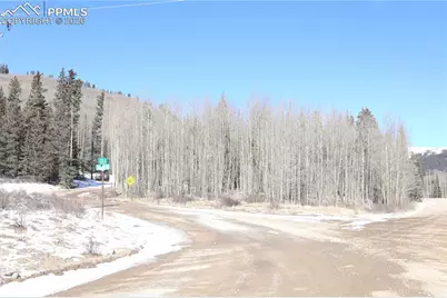 1480 Roberts Road, Fairplay, CO 80440 - Photo 3