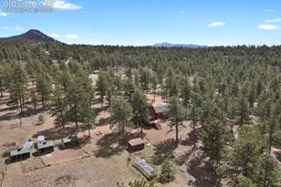 881 Trail Creek Rd, Lake George, CO 80827 - Photo 5