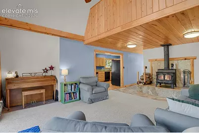 881 Trail Creek Road, Lake George, CO 80827 - Photo 11