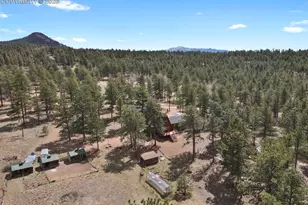 881 Trail Creek Rd, Lake George, CO 80827 - Photo 41