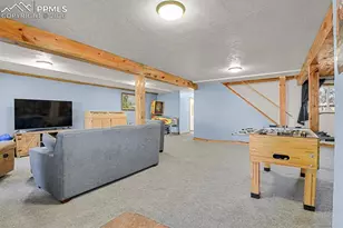881 Trail Creek Rd, Lake George, CO 80827 - Photo 23
