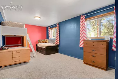 881 Trail Creek Road, Lake George, CO 80827 - Photo 29