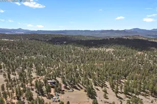 881 Trail Creek Rd, Lake George, CO 80827 - Photo 37