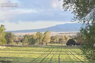 1335 Apple Ln, Penrose, CO 81240 - Photo 5