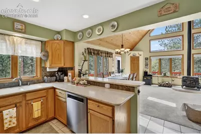 599 Vigilante Avenue, Bailey, CO 80421 - Photo 13
