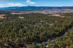 505 Cimarron Rd, Monument, CO 80132 - Photo 9