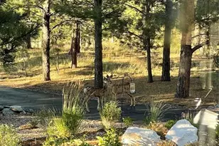 9364 Shipman Ln, Colorado Springs, CO 80908 - Photo 49