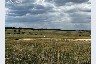 16990 Early Light Drive, Colorado Springs, CO 80908 - Photo 13