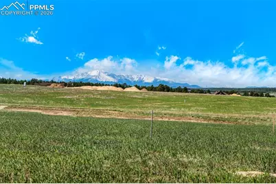 16990 Early Light Drive, Colorado Springs, CO 80908 - Photo 21