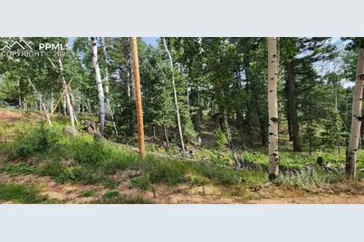 127 Rampart Circle, Florissant, CO 80816 - Photo 9