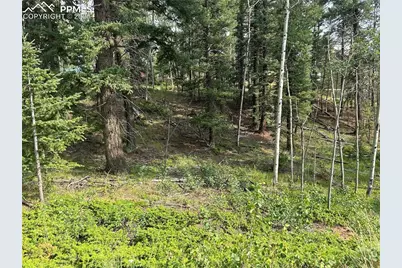 127 Rampart Circle, Florissant, CO 80816 - Photo 1