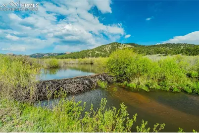 224 Lakeview Forest Heights, Florissant, CO 80816 - Photo 39