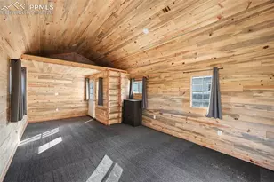 224 Lakeview Frst Hts, Florissant, CO 80816 - Photo 27