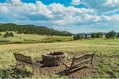 224 Lakeview Forest Heights, Florissant, CO 80816 - Photo 31