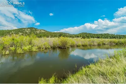224 Lakeview Forest Heights, Florissant, CO 80816 - Photo 5