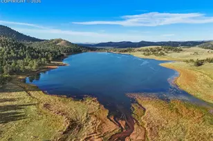 224 Lakeview Frst Hts, Florissant, CO 80816 - Photo 37