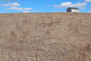 29810 Tallgrass Vw, Calhan, CO 80808 - Photo 31