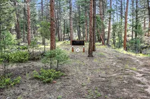 1721 Wildhorn Rd, Florissant, CO 80816 - Photo 47