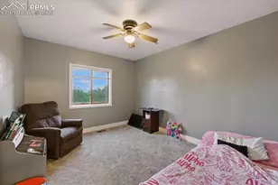 1721 Wildhorn Rd, Florissant, CO 80816 - Photo 7