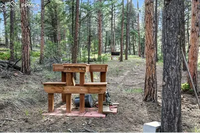 1721 Wildhorn Road, Florissant, CO 80816 - Photo 45