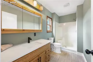 1721 Wildhorn Rd, Florissant, CO 80816 - Photo 17