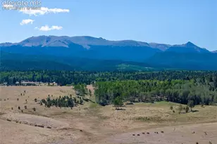 1014 Elfin Glen Dr, Divide, CO 80814 - Photo 37