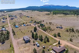 1014 Elfin Glen Dr, Divide, CO 80814 - Photo 3
