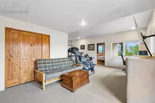 706 Orion Star View, Colorado Springs, CO 80906 - Photo 37