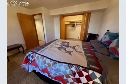 214 Luxury Lane, Colorado Springs, CO 80921 - Photo 33