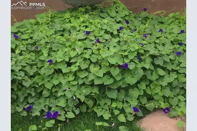 1628 R Street, Penrose, CO 81240 - Photo 39