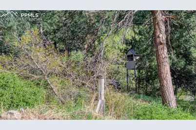 21303 Highway 96, Wetmore, CO 81253 - Photo 43