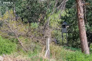 21303 Hwy 96, Wetmore, CO 81253 - Photo 43