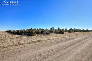 20402 Co Rd 2, Rush, CO 80833 - Photo 41